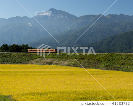 新日鐵顏色Zidel車Kiha 111和秋天風景 41383722