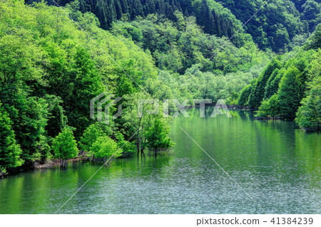 Fresh green rainbow lake 41384239