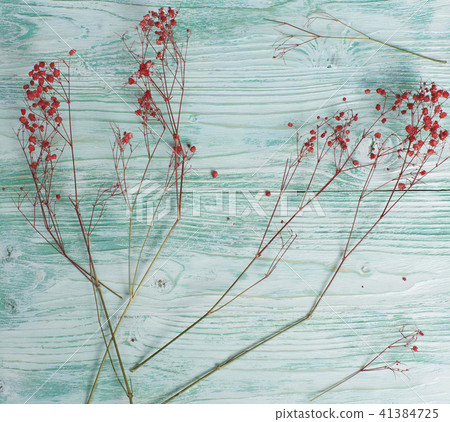 dried flowers, wood background, color, still life dried flowers, wood background, color, still life 41384725