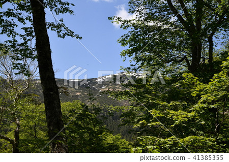 從Hatuchi Pass到Ozegahara的道路 41385355