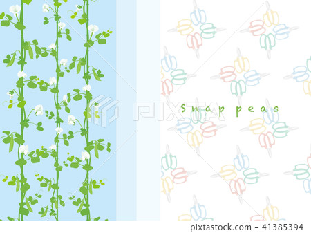 Snap pea illustration 10 41385394