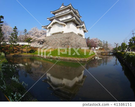 Oshiro Oshiro 41386151