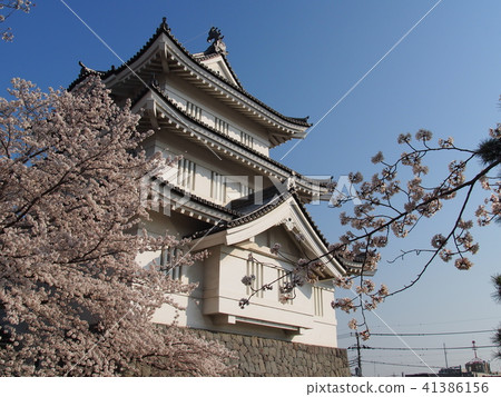 Shinobushiro 41386156