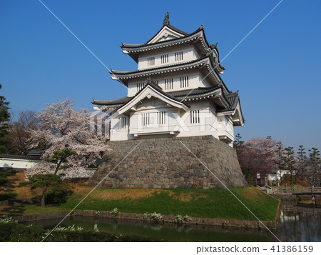 Oshiro Oshiro 41386159