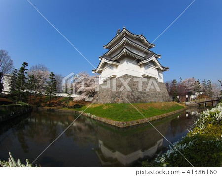 Shinobushiro 41386160