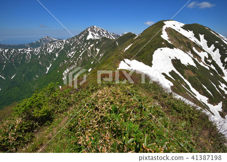 Mt. Rakuten of remaining snow and Echigo Miyama seen from Mt. 41387198