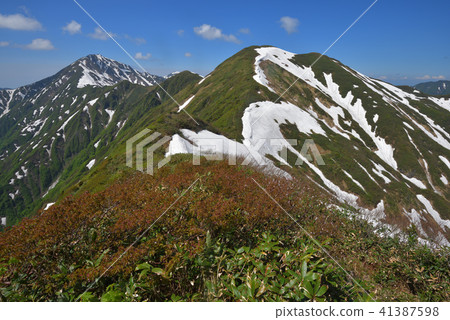 Mt. Rakuten of remaining snow and Echigo Miyama seen from Mt. Mt. Rakuten of remaining snow and Echigo Miyama seen from Mt. 41387598