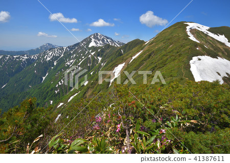 Mt. Rakuten of remaining snow and Echigo Miyama seen from Mt. Mt. Rakuten of remaining snow and Echigo Miyama seen from Mt. 41387611