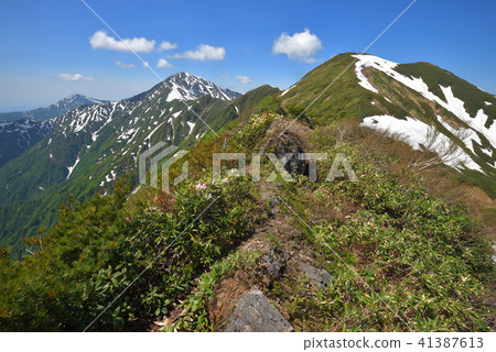 Mt. Rakuten of remaining snow and Echigo Miyama seen from Mt. Mt. Rakuten of remaining snow and Echigo Miyama seen from Mt. 41387613