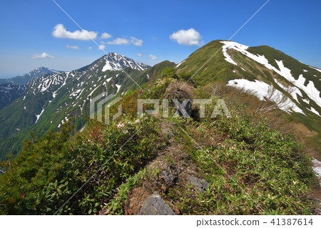 Mt. Rakuten of remaining snow and Echigo Miyama seen from Mt. Mt. Rakuten of remaining snow and Echigo Miyama seen from Mt. 41387614