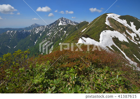 Mt. Rakuten of remaining snow and Echigo Miyama seen from Mt. 41387615