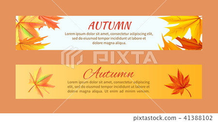 Autumn Banners set with Maple Foliage Vector - Stock Illustration ...