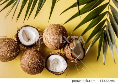 Coconuts on a pastel background. Coconuts on a pastel background. 41388260