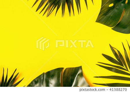 Tropical leaves background, copy spase Tropical leaves background, copy spase 41388270