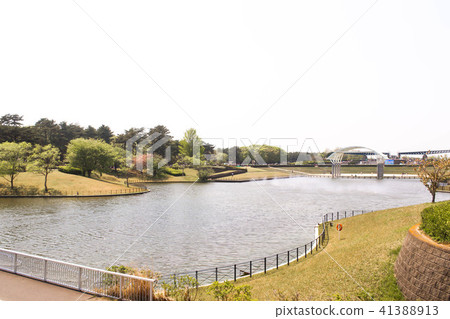 natural view and river in hitachi seaside park natural view and river in hitachi seaside park 41388913