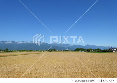 Northern Alps back Matsumoto-shi Northern Alps back Matsumoto-shi 41389287