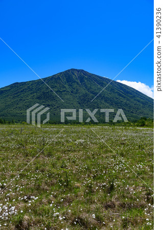 Mt. Mt. and battlefield of Senjogahara 41390236