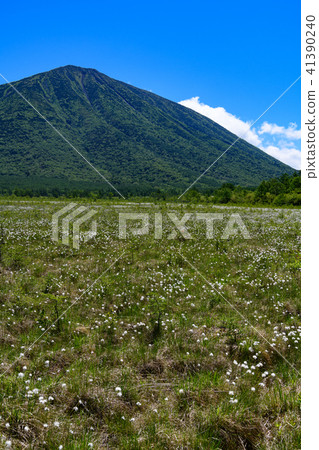 Mt. Mt. and battlefield of Senjogahara 41390240