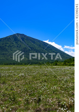 Mt. Mt. and battlefield of Senjogahara 41390241