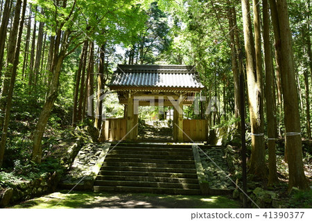 安樂死法律研究所 安樂死法律研究所 41390377