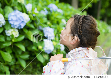 繡球花和女孩 繡球花和女孩 41390615