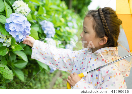 繡球花和女孩 41390616