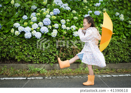 繡球花和女孩 繡球花和女孩 41390618