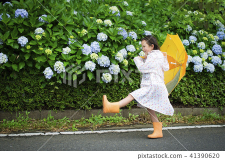 Hydrangea and girls Hydrangea and girls 41390620