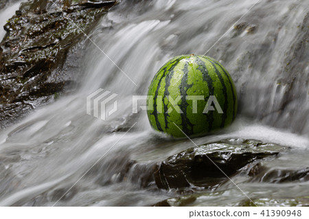 甜美可口的西瓜（西瓜/西瓜）圖片素材 41390948