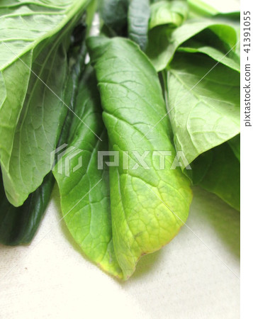 Komatsuna，葉子變黃了 41391055