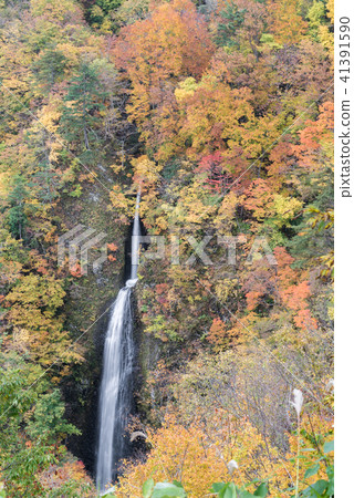 Tsumijikura Taki waterfall Fukushima Tsumijikura Taki waterfall Fukushima 41391590