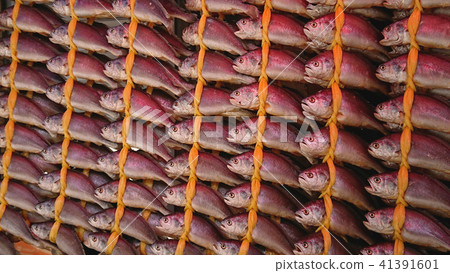 Dried fishing hanged in rows, South Korea. Dried fishing hanged in rows, South Korea. 41391601
