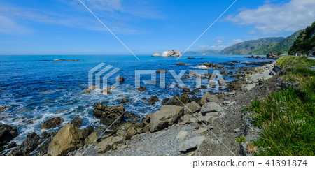 Seascape of South Island, New Zealand Seascape of South Island, New Zealand 41391874