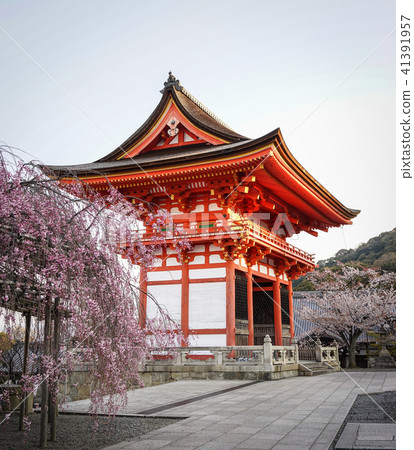 Ancient temple with cherry flowers Ancient temple with cherry flowers 41391957