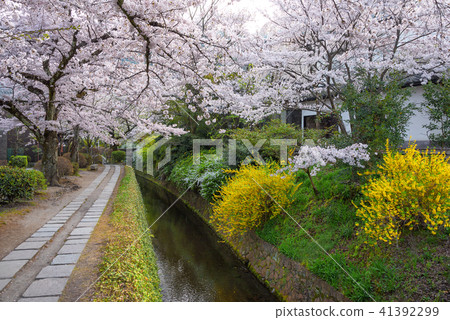 Spring philosophy road 41392299