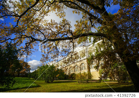 Autumn garden in St. Petersburg, Russia Autumn garden in St. Petersburg, Russia 41392726