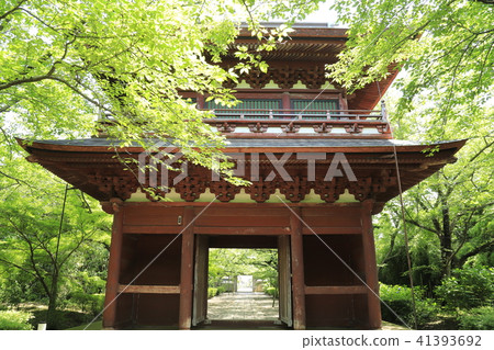 Choshugakuji Tower (Yamagen) Ibaraki Prefecture Designated Tangible Cultural Asset 41393692