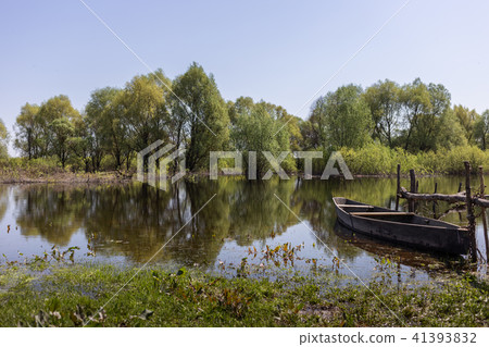 Wooden boat at village places in the floodplain forests of the Desna river, Ukraine 41393832