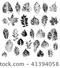 Leaves of black silhouettes of trees and bushes. 41394058
