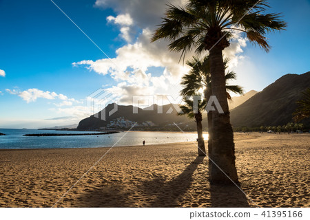 Playa de las Teresitas Beach, Tenerife 41395166