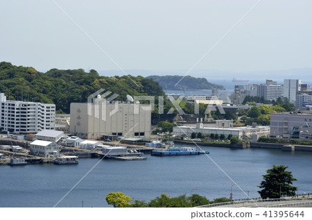 Yokosuka Port 41395644