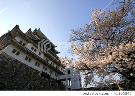 名古屋城堡 41395845