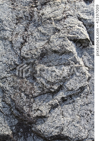 Rough rough skin Rough rough skin 41397009