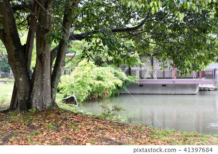 Usa Shrine of rain 41397684