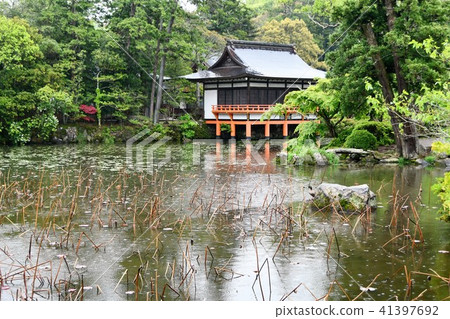 美國雨的神社 美國雨的神社 41397692