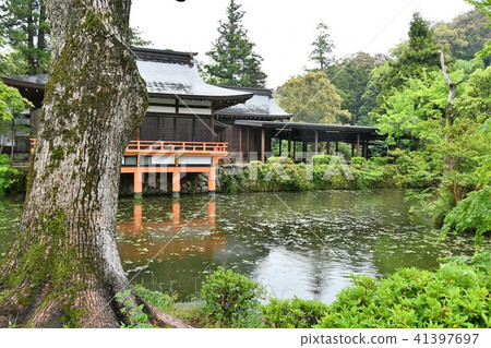 美國雨的神社 美國雨的神社 41397697