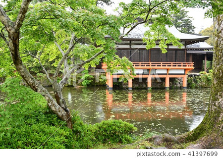 美國雨的神社 41397699