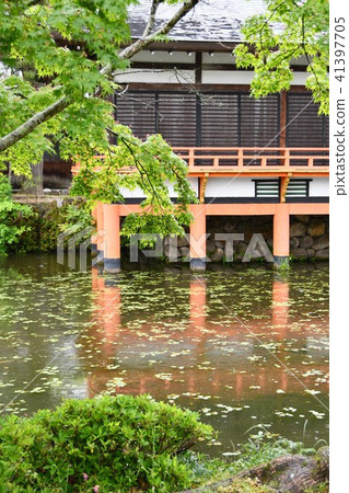 Usa Shrine of rain 41397705