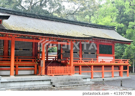 美國雨的神社 41397796