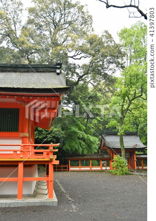 美國雨的神社 41397803